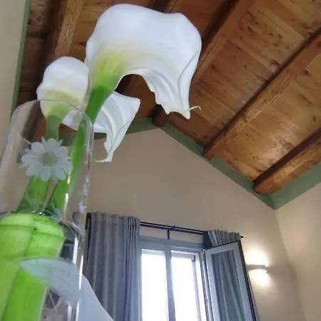 Couette-café Dimora Arborea 3*