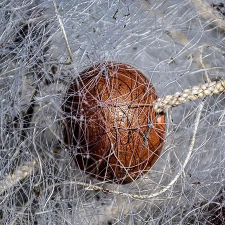 Dimora Arborea *