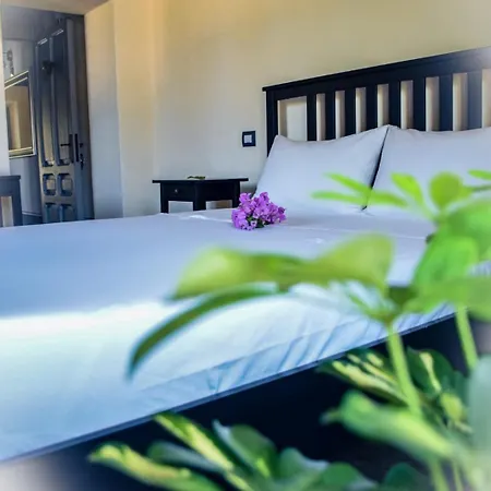 Bed & Breakfast Dimora Arborea *