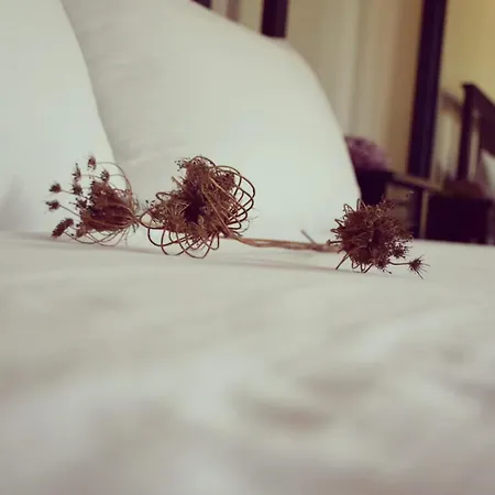 Dimora Arborea Couette-café