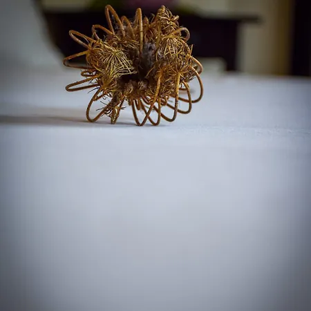 Dimora Arborea * Marceddi