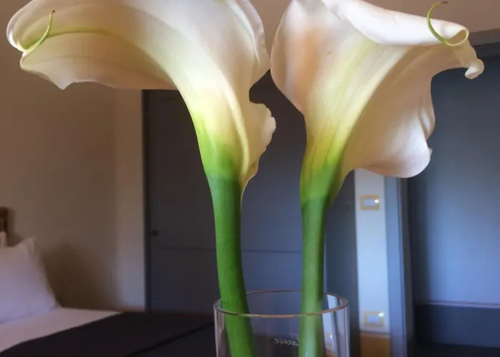 Dimora Arborea 3* Marceddi