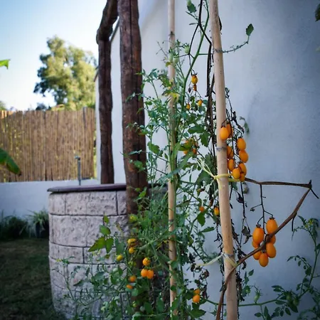 Dimora Arborea Bed & Breakfast Marceddi