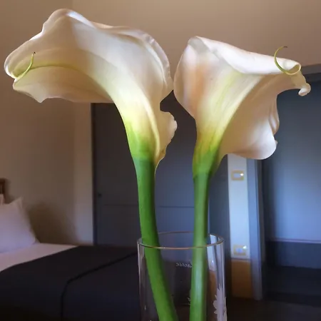 Dimora Arborea 3* Marceddi