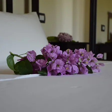 Dimora Arborea Marceddi