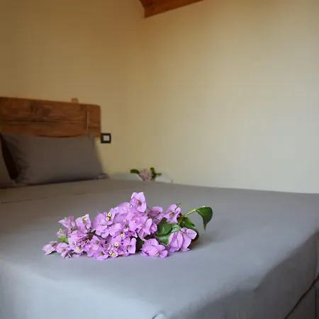Dimora Arborea Bed and Breakfast