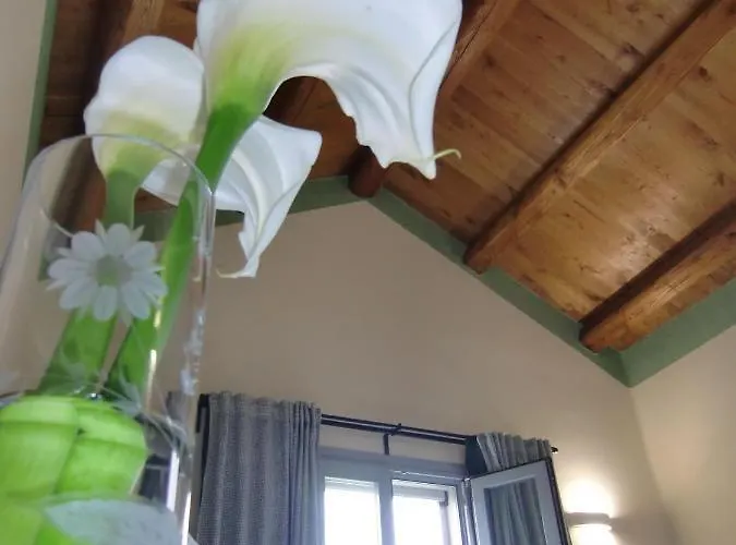 住宿加早餐酒店 Dimora Arborea 3*