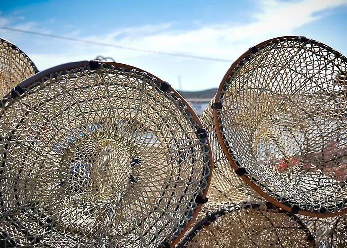 Dimora Arborea 住宿加早餐酒店 3*