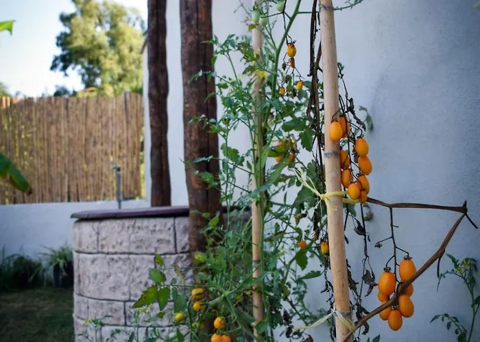 Dimora Arborea 住宿加早餐酒店 Marceddi