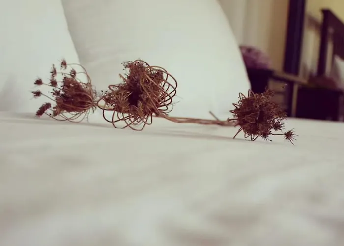 Dimora Arborea 住宿加早餐酒店