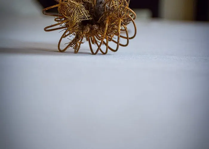 Dimora Arborea 3* Marceddi