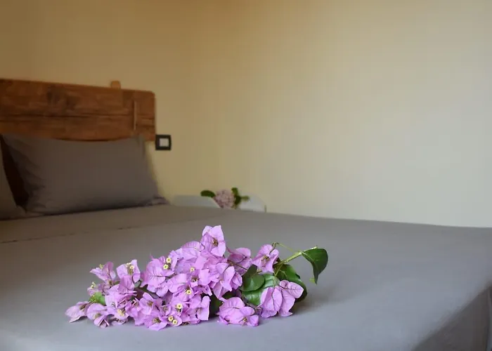 Dimora Arborea 住宿加早餐酒店